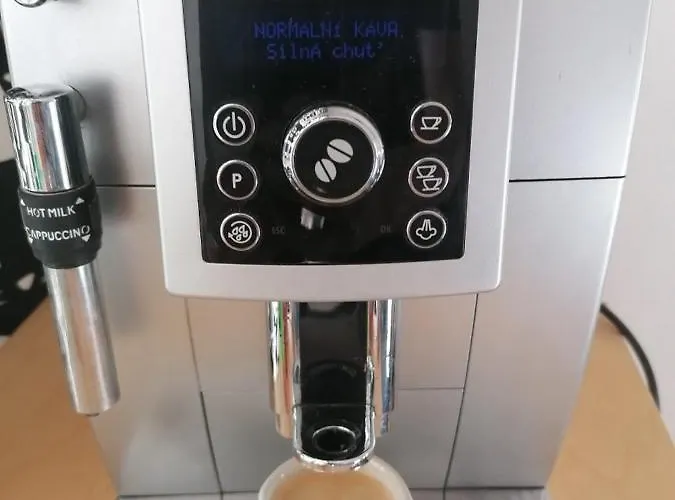 Lena * Děčín